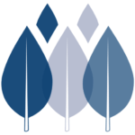 Ngoma Icon